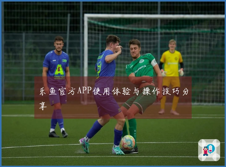 乐鱼官方APP使用体验与操作技巧分享