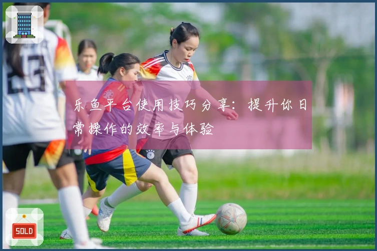 乐鱼平台使用技巧分享：提升你日常操作的效率与体验