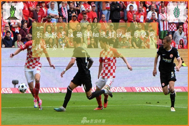 乐鱼账号注册详细流程说明与使用技巧分享