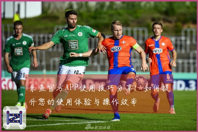 乐鱼官方APP使用技巧分享：如何提升您的使用体验与操作效率