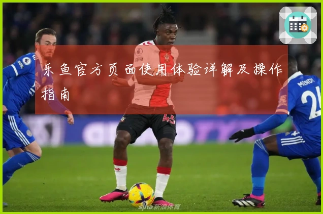 乐鱼官方页面使用体验详解及操作指南