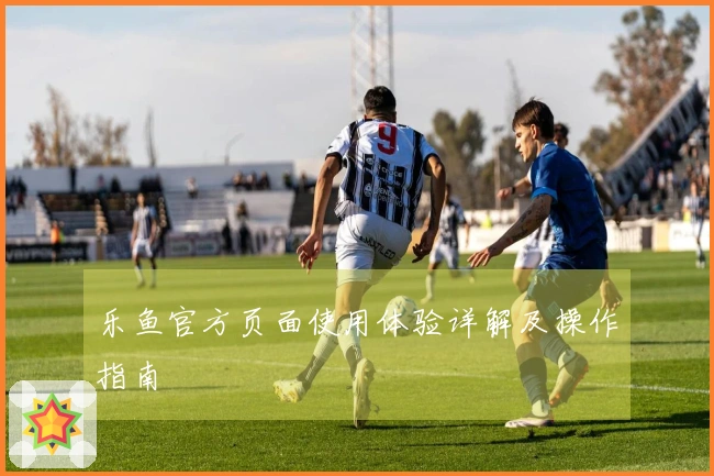 乐鱼官方页面使用体验详解及操作指南