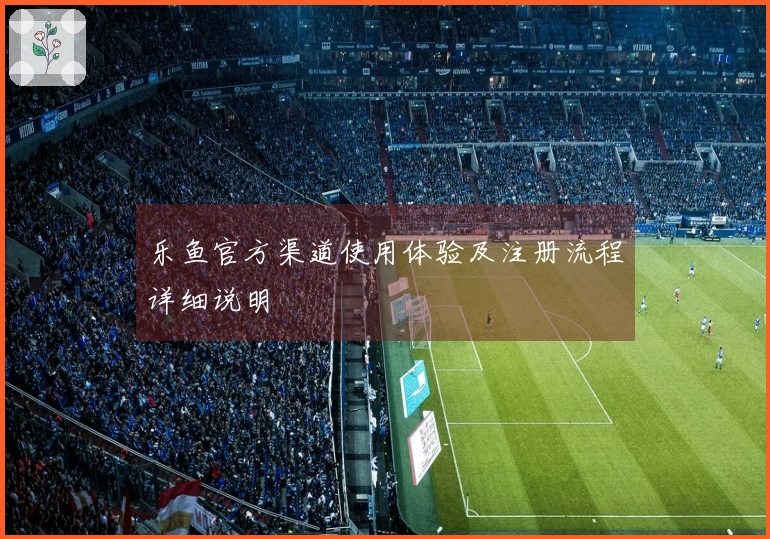 乐鱼官方渠道使用体验及注册流程详细说明