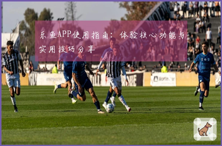 乐鱼APP使用指南：体验核心功能与实用技巧分享